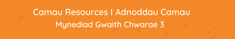 Mynediad Gwaith Chwarae 3