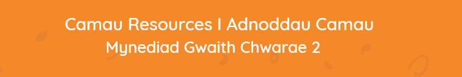 Mynediad Gwaith Chwarae 2