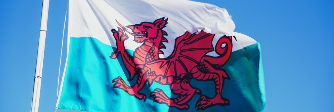 Learning in Welsh Learning in Welsh