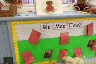 Using Bilingualism in English medium Early Year, Childcare and Play settings